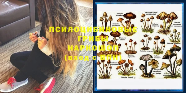 прущие грибы Семилуки