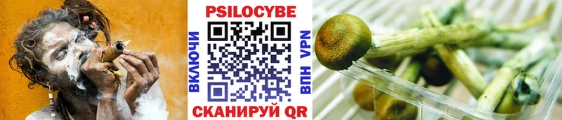 дарк нет состав  Михайловка  Галлюциногенные грибы GOLDEN TEACHER  закладка 