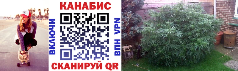 МЕГА сайт  Михайловка  МАРИХУАНА планчик 